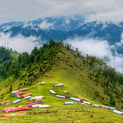 cloud forests