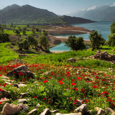 Slopes of zagros mountain